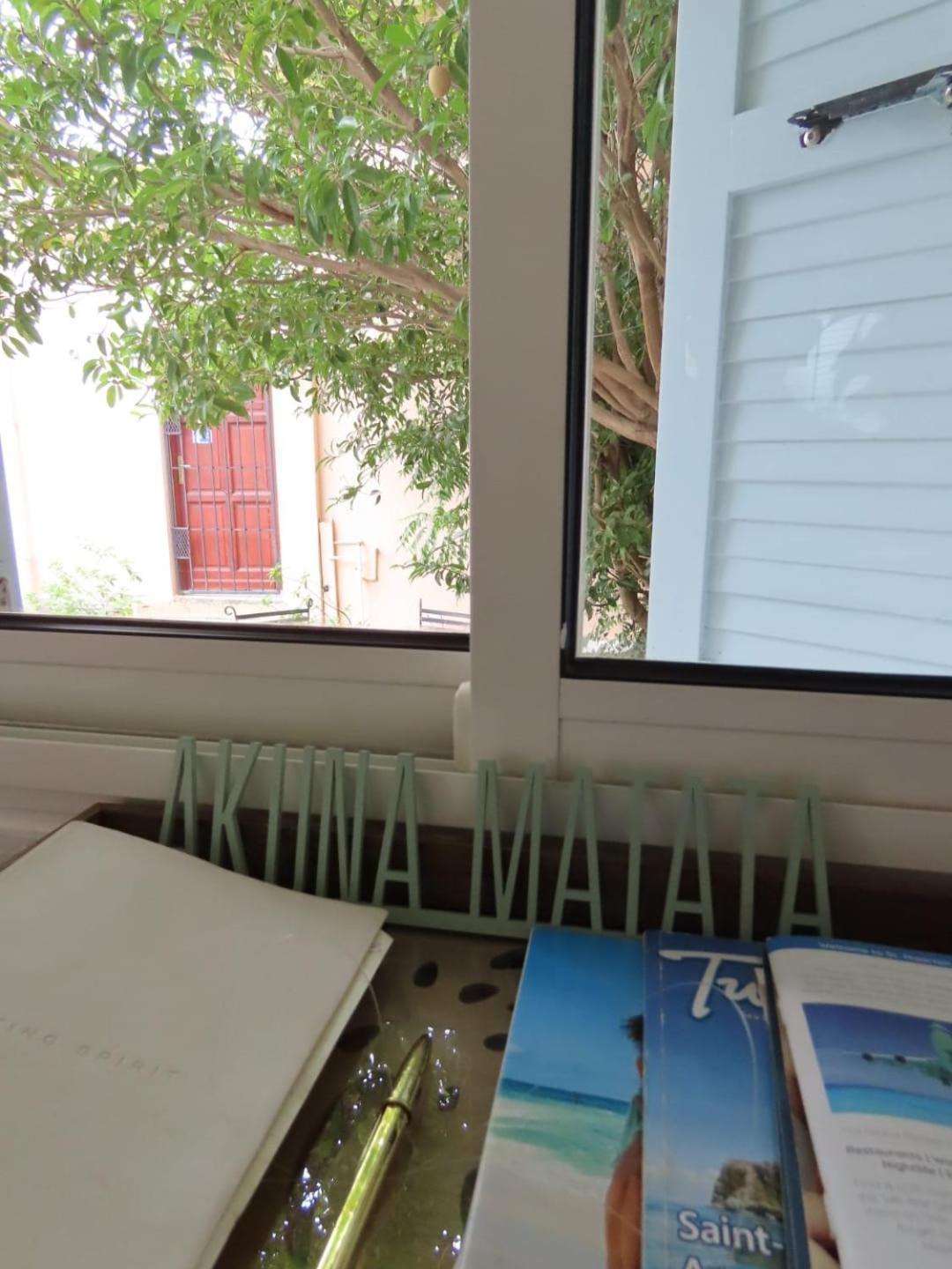 Akunamatata Guest House Grand Case Exteriör bild